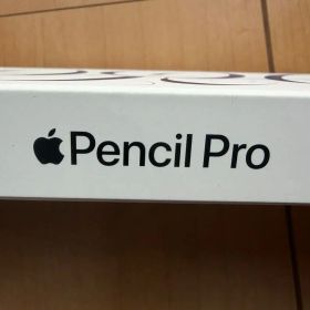 み*く様 Apple Pencil Pro MX2D3ZA/A 本体