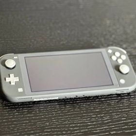 Nintendo Switch Lite ゲーム機本体 新品 13,100円 | ネット最安値の