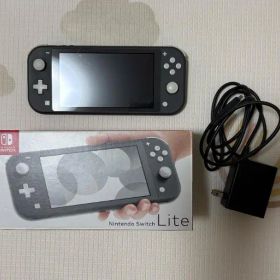 Nintendo Switch Lite グレー 箱・充電器付き 動作確認済