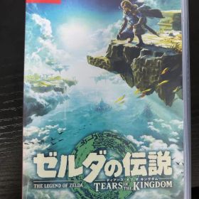 ゼルダの伝説 ティアーズ オブ ザ キングダム Nintendo Switch