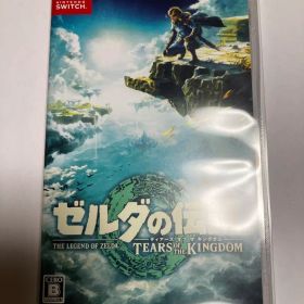 ゼルダの伝説 ティアーズ オブ ザ キングダム Switch