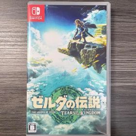 ゼルダの伝説 ティアーズ オブ ザ キングダム Switch