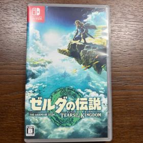 ゼルダの伝説 ティアーズ オブ ザ キングダム
