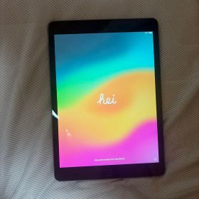 Apple iPad 本体 A2197