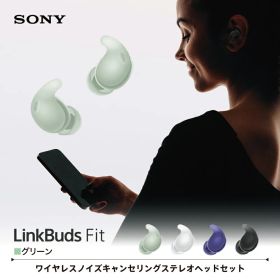 【新品】 ソニー SONY 完全ワイヤレスイヤホン LinkBuds Fit リンクバッズフィット Bluetooth イヤホン ノイズキャンセリング ワイヤレス カナル型 小さい コンパクト ハイレゾ対応 WF-LS910N GZ グリーン
