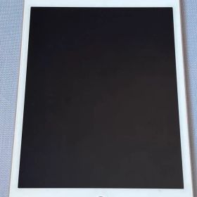 Apple iPad mini 4 ゴールド 本体 A1550