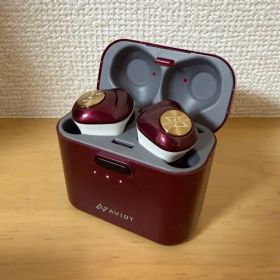 【訳あり】 AVIOT TE-D01d ワイヤレスイヤホン 本体 ボルドーレッド