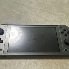 Nintendo Switch Lite ディアルガ・パルキア 限定モデル