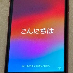 iPhone SE 第2世代 64GB (説明欄必読)