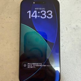 Apple iPhone 15 Pro Max 本体