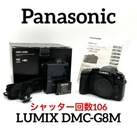 Panasonic LUMIX DMC-G8M