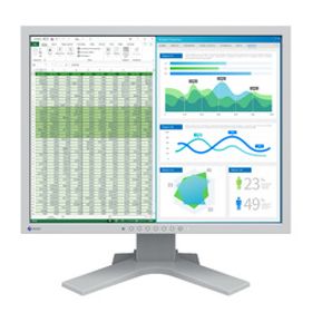 ＥＩＺＯ FlexScan S2134-HGY 取り寄せ商品