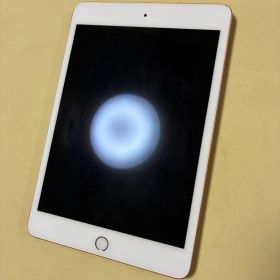 Apple iPad mini 5 本体