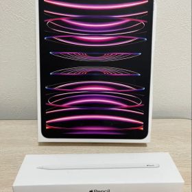iPadPro 第4世代 11インチWiFiモデル Appleペンシル付属