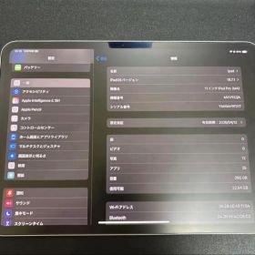 100%バッテリー Apple iPad Pro 11インチ M4 256GB