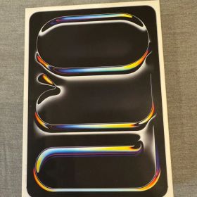 Apple 11インチ iPad Pro (M4) Cellular 1TB