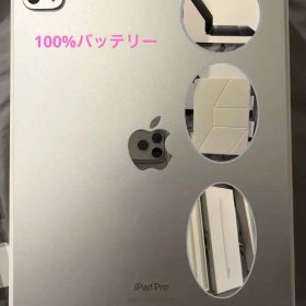 11インチ iPad Pro（M4）256GB Wi-Fi