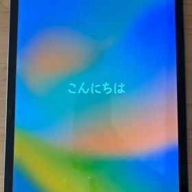 Apple iPad Pro 11インチ 第2世代 256GB箱付シャッター音無
