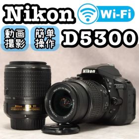 Nikon D5300 ❤️動作確認済 スマホ転送 ダブルレンズ ニコン 一眼レフ