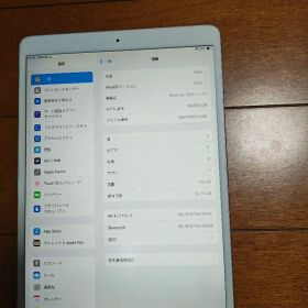 Apple iPad Pro 10.5インチ 64GB 本体