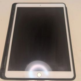 iPad Pro 10.5インチ 256GB