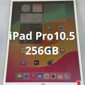 ipad Pro 10.5 インチ 256GB ゴールド