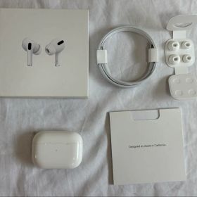 Apple AirPods Pro 本体