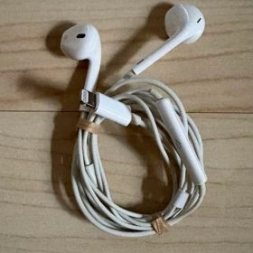 Apple EarPods with Lightning Connector
