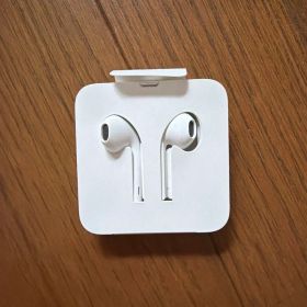 Apple EarPods Lightning端子