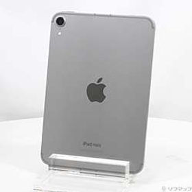 iPad mini(A17 Pro) 256GB スペースグレイ MXPT3J／A ［8.3インチ液晶／A17-Pro］