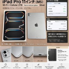 美品保証付iPad Pro 11インチ M5 2TB セルラー ナノテクスチャー