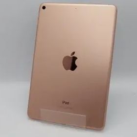 【中古】Apple 【Wi-Fi】 iPad mini（第5世代/2019） 64GB ゴールド MUQY2J/A【DS秋葉】保証期間１ヶ月【ランクC】