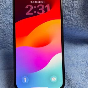 Apple iPhone 12 Pro パシフィックブルー 本体