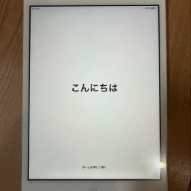 Apple iPad mini 2 本体 32GB 不良