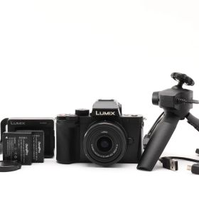 ★良品★ パナソニック Panasonic DC-G100 Vキット ショット数41484回 ミラーレス 海外版 ★ #9173