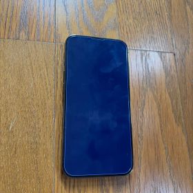 Apple iPhone 13 Pro 本体 グラファイト