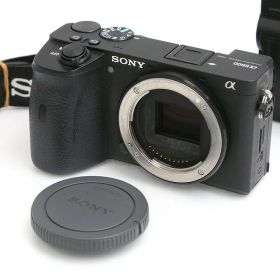 【中古】【並品】ソニー α6600 ILCE-6600 ボディ CA01-B7209-3Y2C SONY Eマウント APS-C 5軸手ブレ補正 EVF 中古