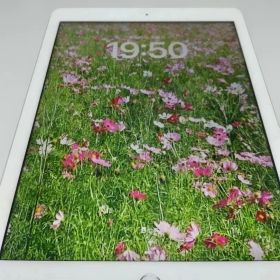 Apple iPad 本体