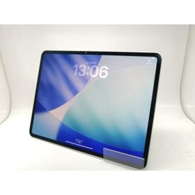 【中古】Apple 【Wi-Fi】 13インチ iPad Pro（M4/2024） 1TB シルバー Nano-Texture MWRG3J/A【秋葉5号】保証期間１ヶ月【ランクB】