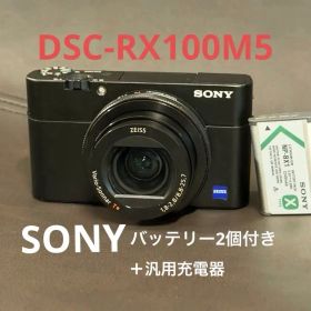 Sony RX100V (DSC-RX100M5) ソニー サイバーショット
