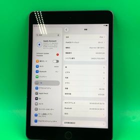 ★激安 iPad mini 第5世代 Wi-Fi 64GB スペースグレイ SIMフリー