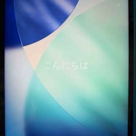 ※パネル交換品の為ジャンク扱い※ iPad Pro 第6世代12.9インチ