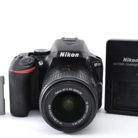 Nikon ニコン D5500 レンズキット デジタル一眼カメラ
