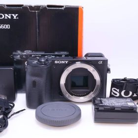 【22,000回 極美品】SONY α6600 ボディ ブラック ILCE-6600 ミラーレス一眼