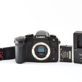 ★極上品★ 《ショット数 3232回》 パナソニック PANASONIC LUMIX DMC-G8 ボディ #2906