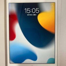 中古 iPadMINI 5 64gb シルバー WiFi+Cellularモデル