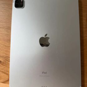 Apple iPad Pro 11インチ 第2世代 本体