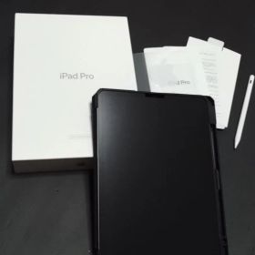 美品 11インチ iPadpro 256GB Wi-Fiモデル