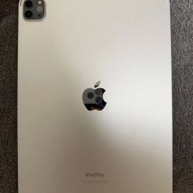 iPad Pro第四世代 11インチ 256GB 2M