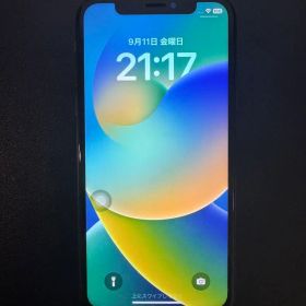 Apple iPhone X 本体 au 画面不具合あり 64GB